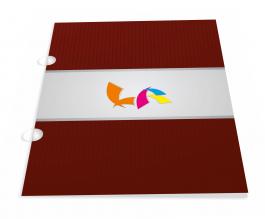 PASTA - COM ORELHA  ou VINCO / PAPEL DUODESIGNER Duodesigner 250g Formato 31x44 cm Impressão 4/0 colorido frente Verniz total frente Corte reto Vinco / orelha redonda